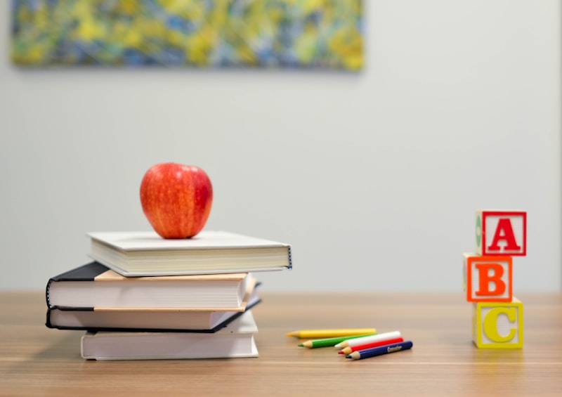 Education support program